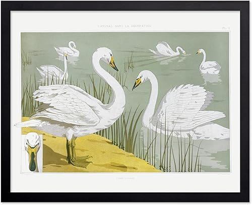 Miniatura 447 de Poster Master Póster vintage de flamenco americano, estampado retro de flamenco rosa, arte de pájaro, regalo para él, ella, amante de los animales,