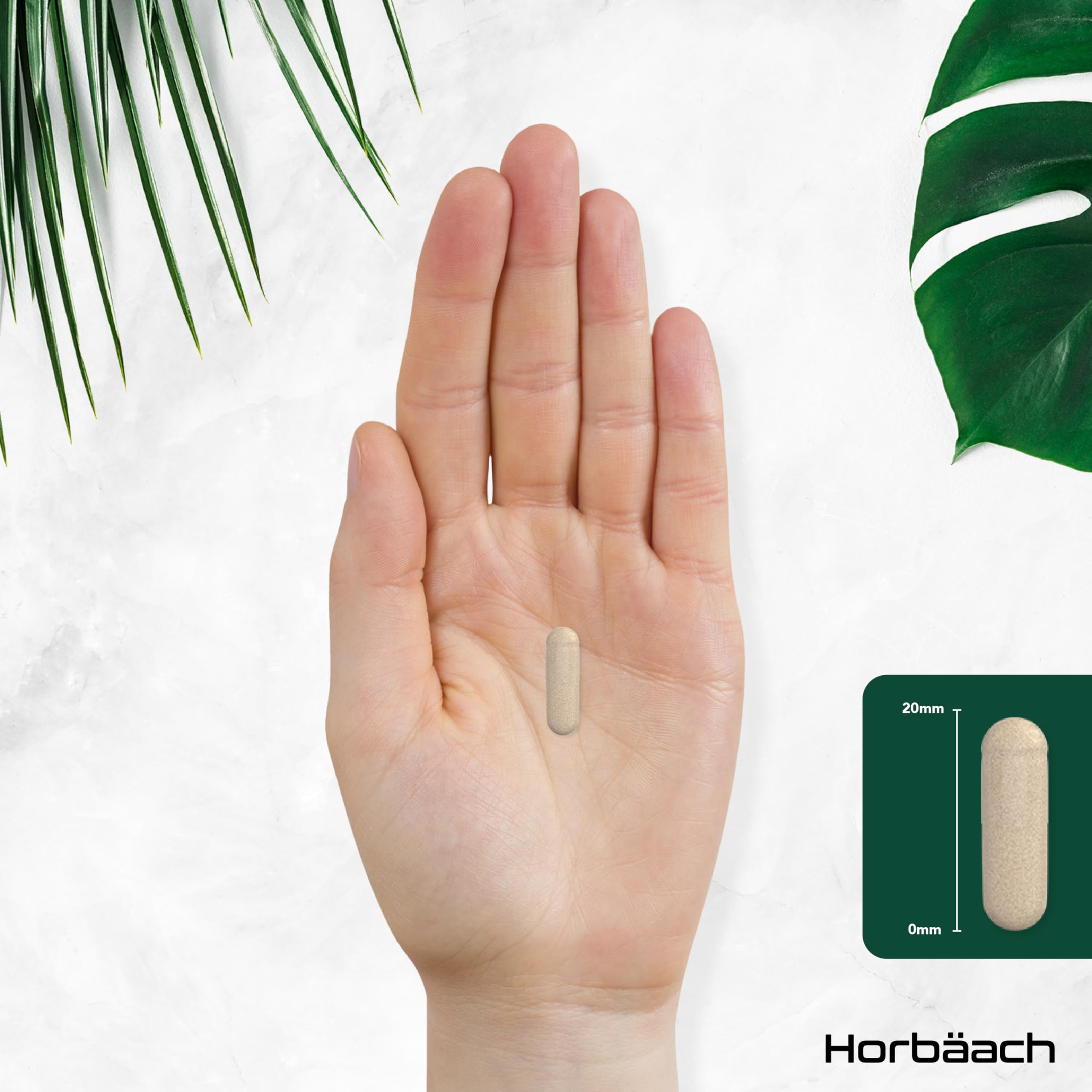 Psillio Capsule Alto Dosaggio 1400 mg | Buccia di Psillio in Polvere | 365 Capsule Vegane per 6 Mesi | Integratore di Fibre | Prebiotico Naturale | Psyllium Husk | di Horbaach