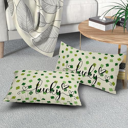 Miniatura 7 de Juego de 2 fundas de almohada lumbares de San Valentín de 12 x 20 pulgadas, fundas decorativas de algodón para el día de San Valentín, diseño de