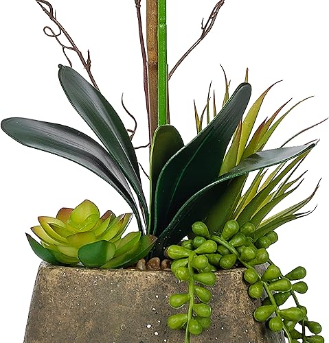 Miniatura 5 de Vanity Art Arreglo floral de orquídea Phalaenopsis de 23.23 pulgadas en maceta de cemento decorativa | Orquídea de seda artificial de tacto real de
