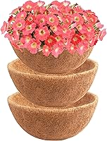 Vista 8 de Y&M Juego de 2 cestas colgantes de fibra de coco preformadas de 10 pulgadas, forro de repuesto de coco, 2P