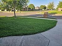 Review Image by Lynn Costa Lynn Costa