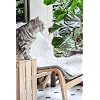 Product Photo 5