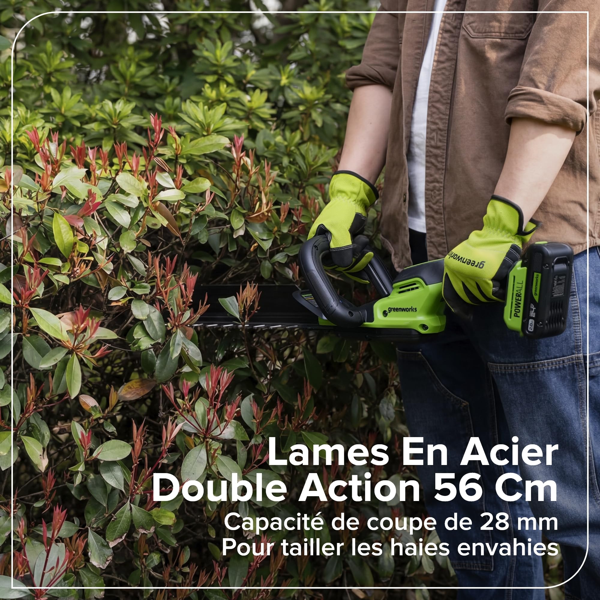 Greenworks Taille-Haies sans Fil 24V 51 cm avec Batterie 2.0Ah, Moteur brushless, Lame Double Action 28 mm, Hedge Sweeper, Chargeur USB-C Inclus HT2002A1