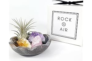 Captivating 4" Scallop Marble Bowl Air Plant Holder Adorned with Crystals