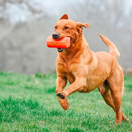 Miniatura 7 de DT SYSTEMS Super Pro Lanzador Duradero con Absorción de Impactos para Entrenamiento de Perros de Caza de Aves Acuáticas y Terrestres con Maniquí