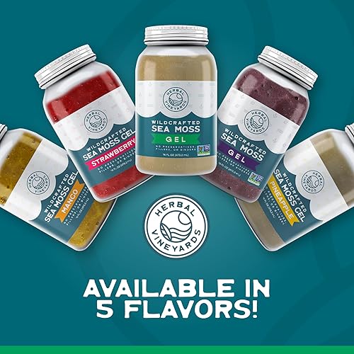 Vista 8 de Herbal Vineyards Wildcrafted Irish Gold - Gel de musgo marino de 16 onzas, gel orgánico de masa marina hecho con algas secas y verduras marinas