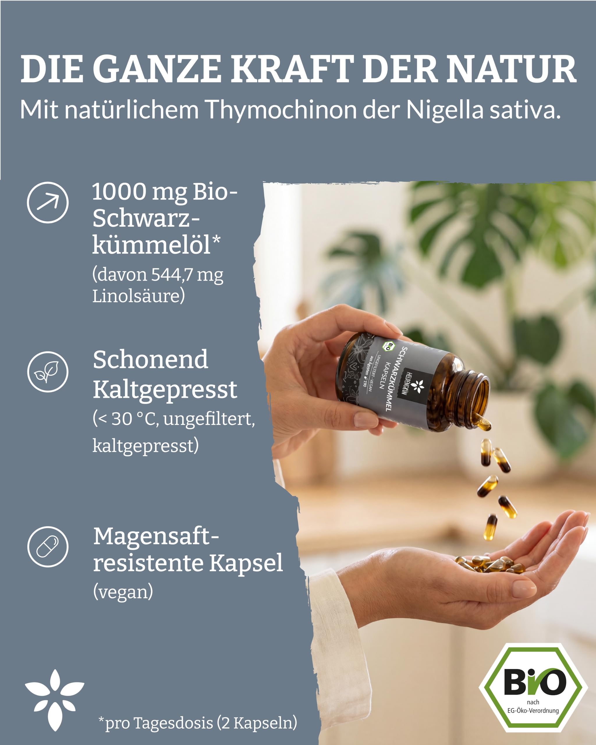 Heldengrün® BIO Schwarzkümmelöl Kapseln [HOCHDOSIERT] 3x190 St. | Kaltgepresst aus Ägypten · 3-Monats-Vorrat pro Dose · Laborgeprüft · vegan & magensaftresistent · Deutsches Startup