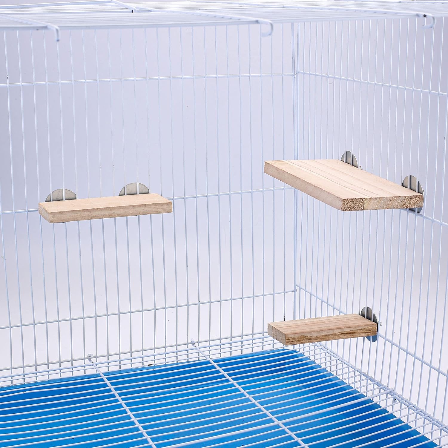 Mogoko Polished Natural Wood Bird Perches Pet Parrot Kuwait Ubuy