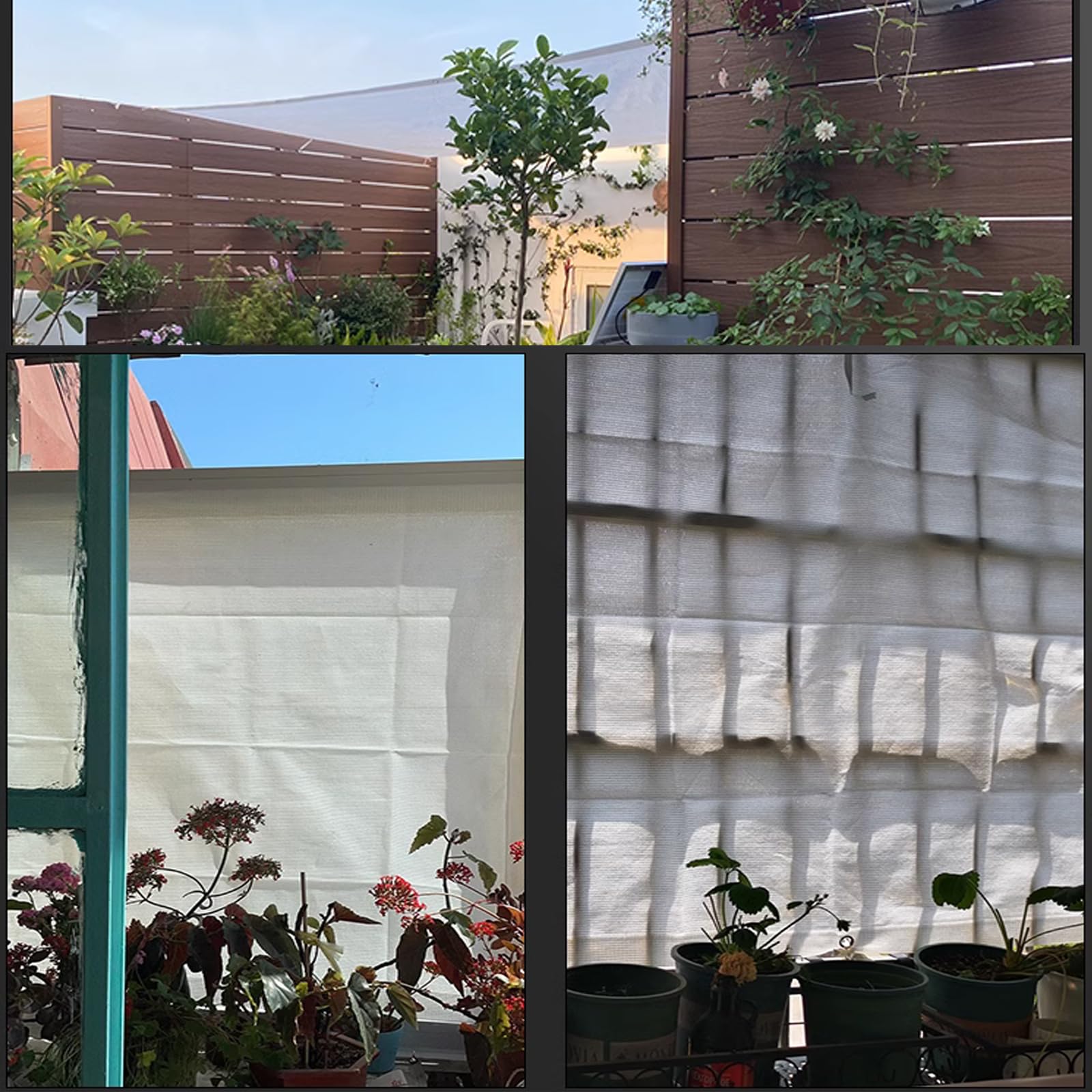 55% Malla sombreadora,Red de Sombreado para Plantas,Sun Shade Net para Invernaderos,Solar Sombra Paño Transpirable,Malla de Ocultación para Jardín,3 Patillas,Blanco (5x7m/16.4x23ft)