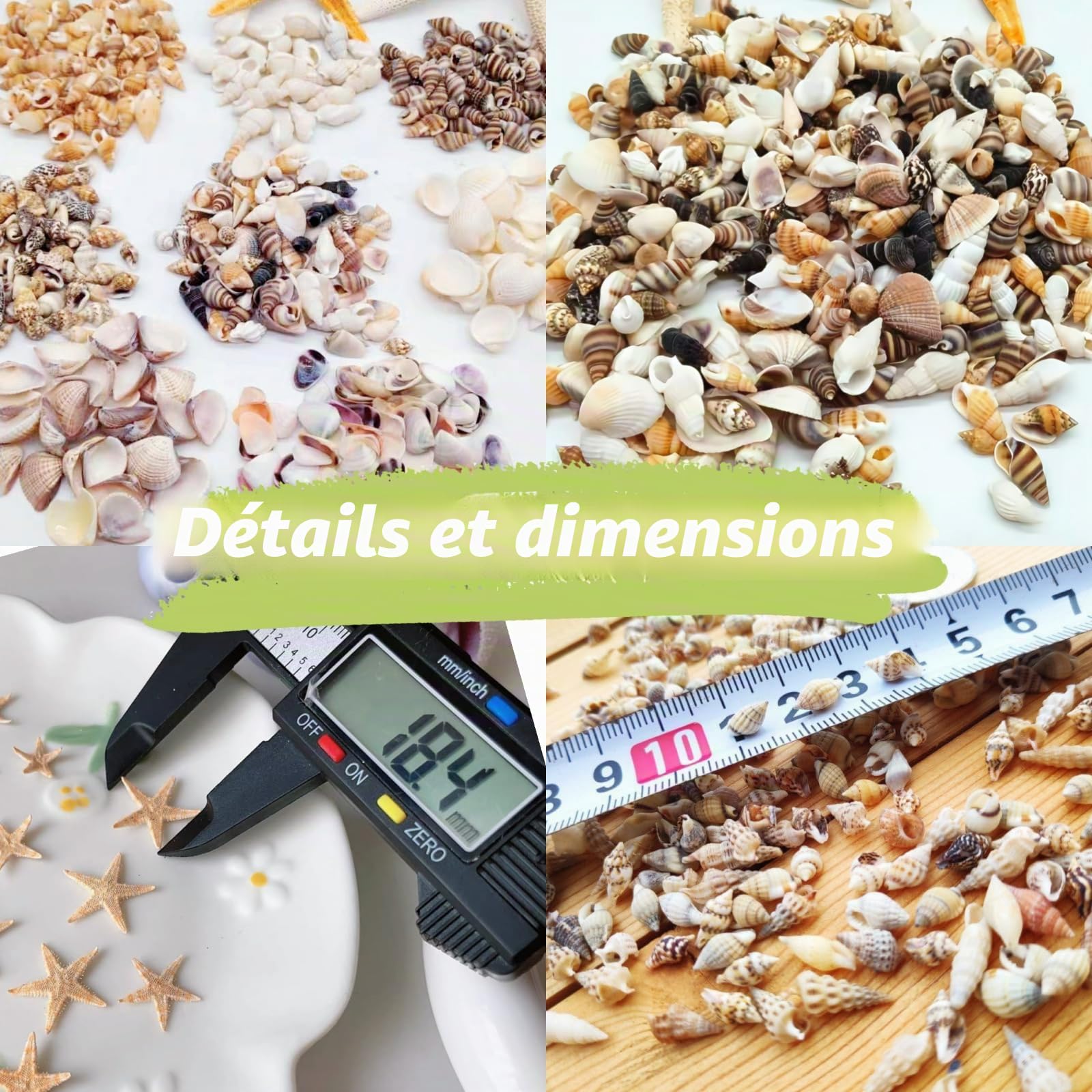 1 200 pièces petites coquillages de mer et 10 petites étoiles de mer - Mélange de coquillages de plage en spirale pour aquarium et vase, décoration de fête sur le thème de la plage