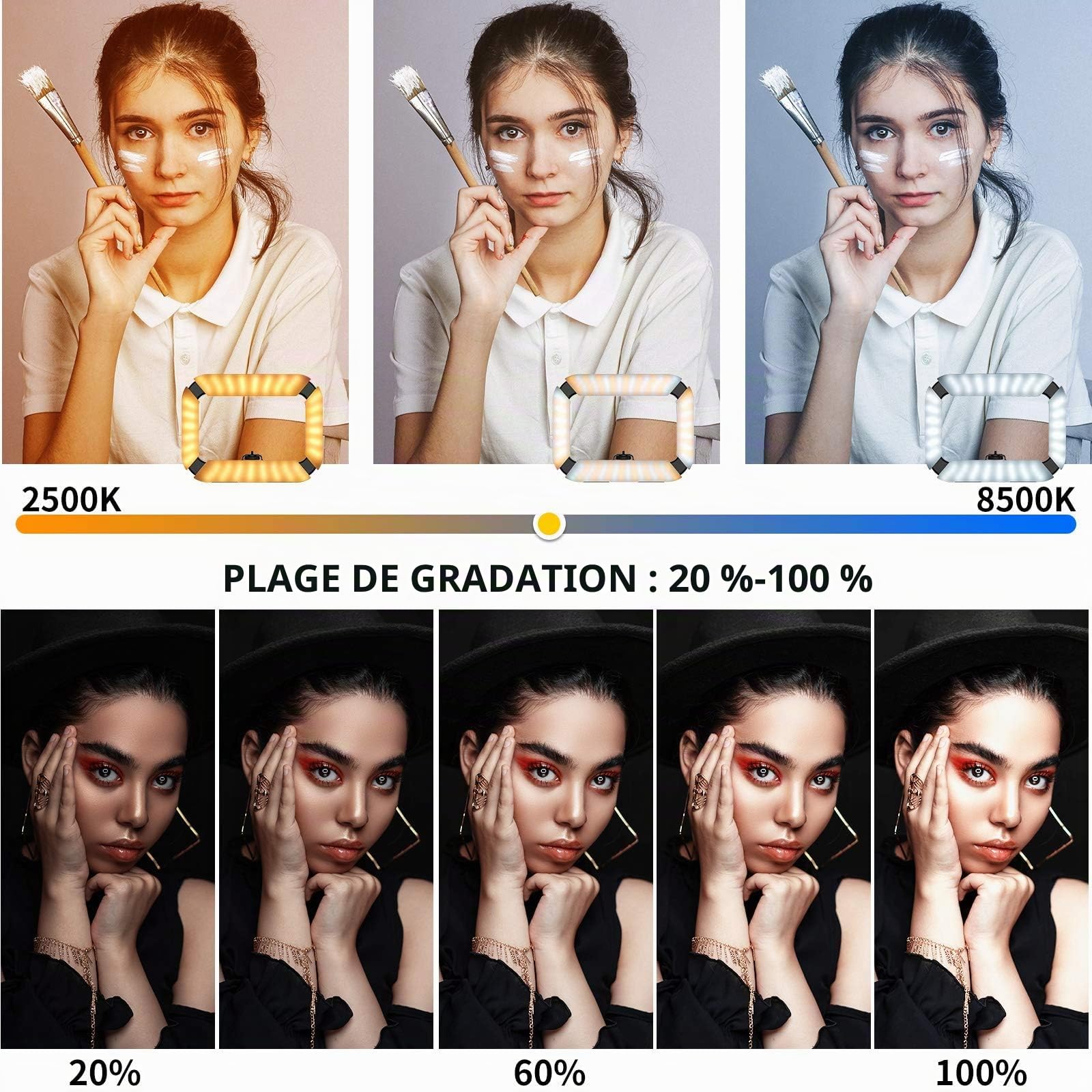 ULANZI U-Rig Smartphone Video Rig avec Lumière, stabilisateur Portable pour téléphone Portable avec Anneau Lumineux 8500 K pour la réalisation de Films en Direct Steam Tiktok Youtube Enregistrement