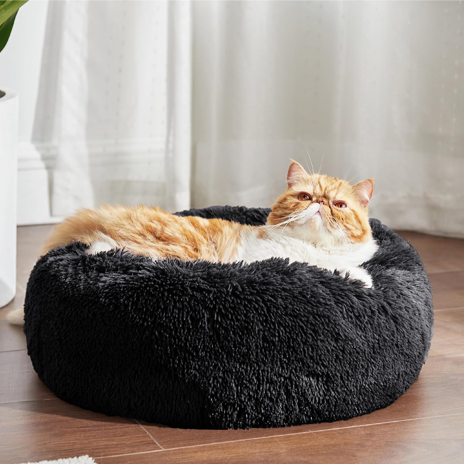  Calming Cat Beds Donut Round Washable Kitten Bed,20 inches Black | Fluffy Faux Fur Cuddler,Anti-Slip Bottom,Anti-Anxiety,Deep Sleeping for Cats&Small Pets Up to 15 Lbs thumbnail