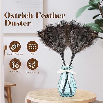 Natural Ostrich Feather Duster 14.9 inch Fluffy Mini Dusters with Plastic Handheld for Cleaning Car Keyboard Office 1 Pcs