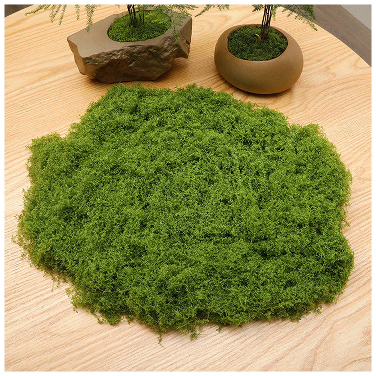 DIWAL Artificial Moss for Potted Plants Decor, Faux Moss for Crafts, DIY Decorative, Walls,Table Centerpieces Decor Fairy Garden Model Making(Light green,50g)