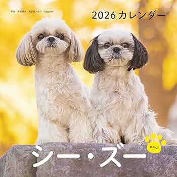 中村陽子　コニールくん　コアラ　卓上カレンダー　レア 中村陽子 コニールくん コアラ 卓上カレンダー レア