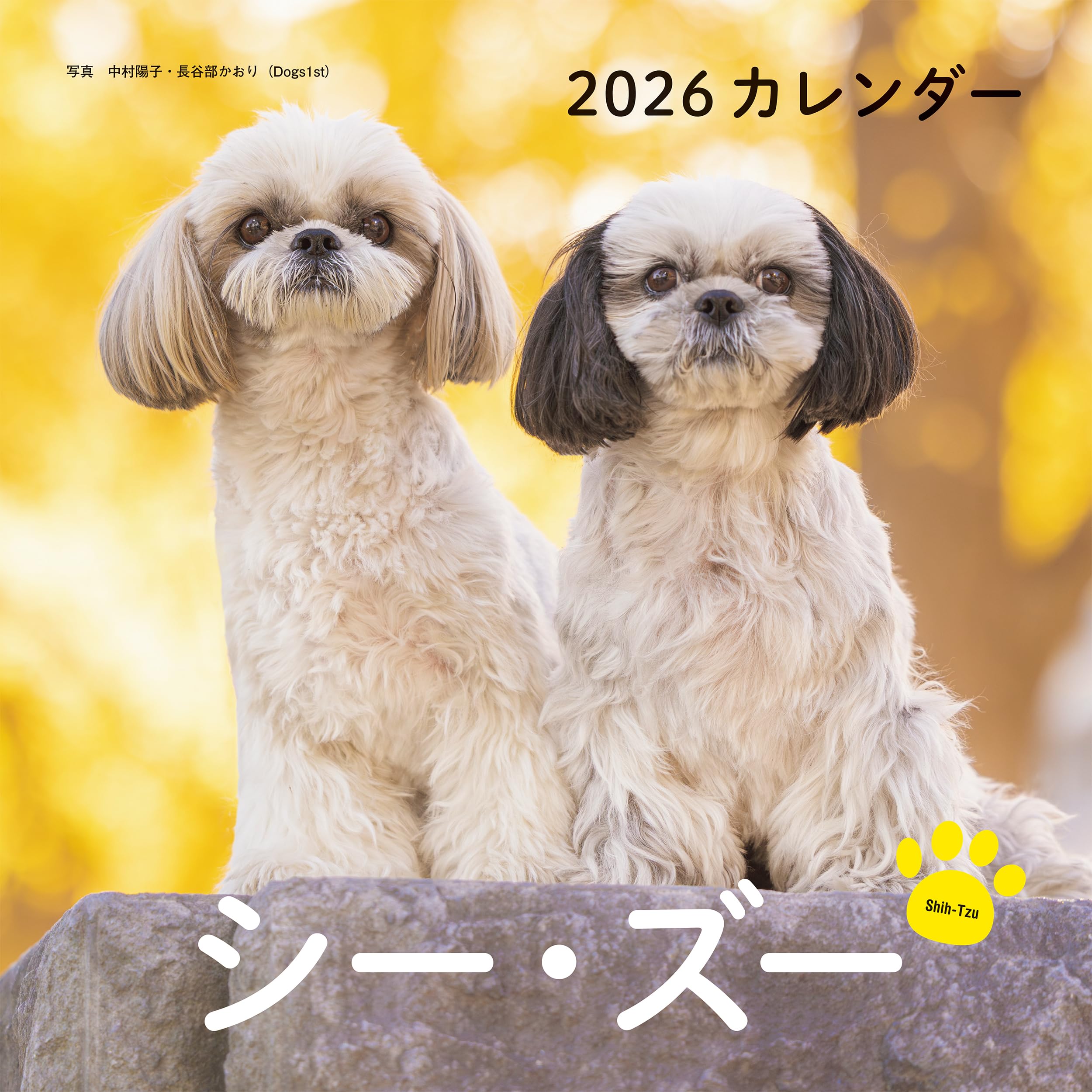 2026年カレンダー シー・ズー (誠文堂新光社カレンダー) | 中村 陽子