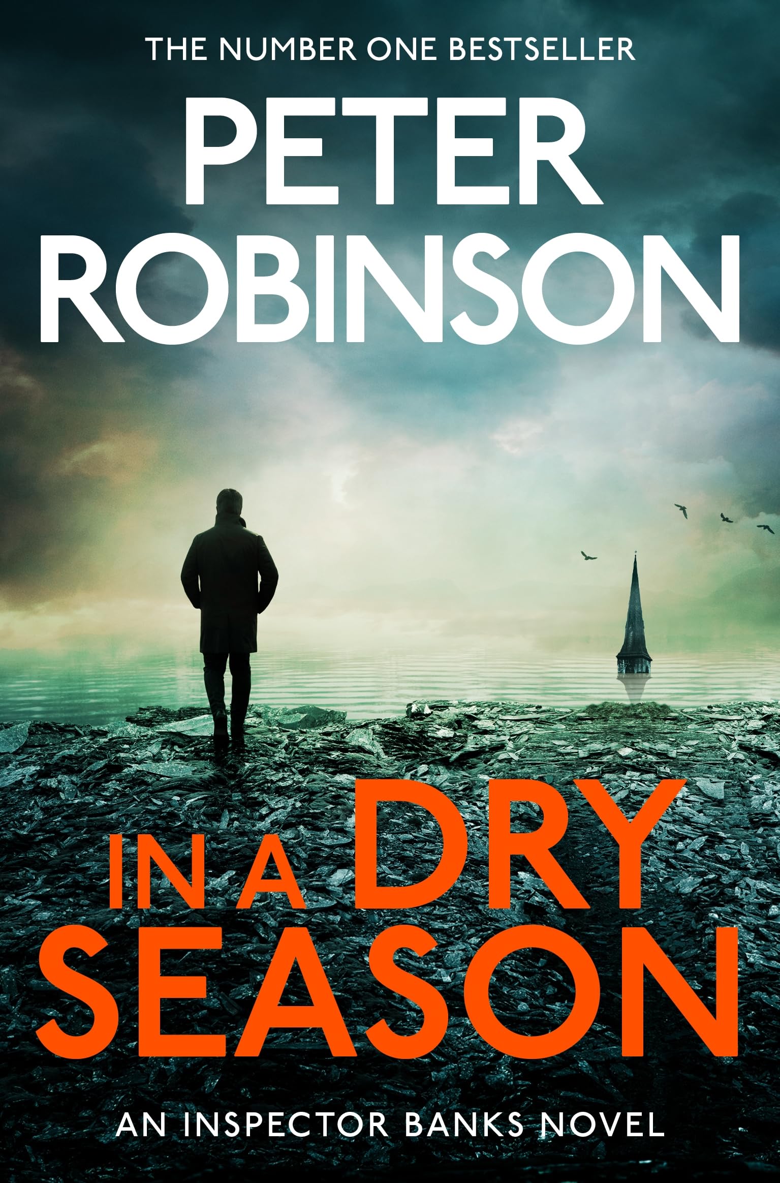 In A Dry Season by Peter Robinson (Paperback Book)