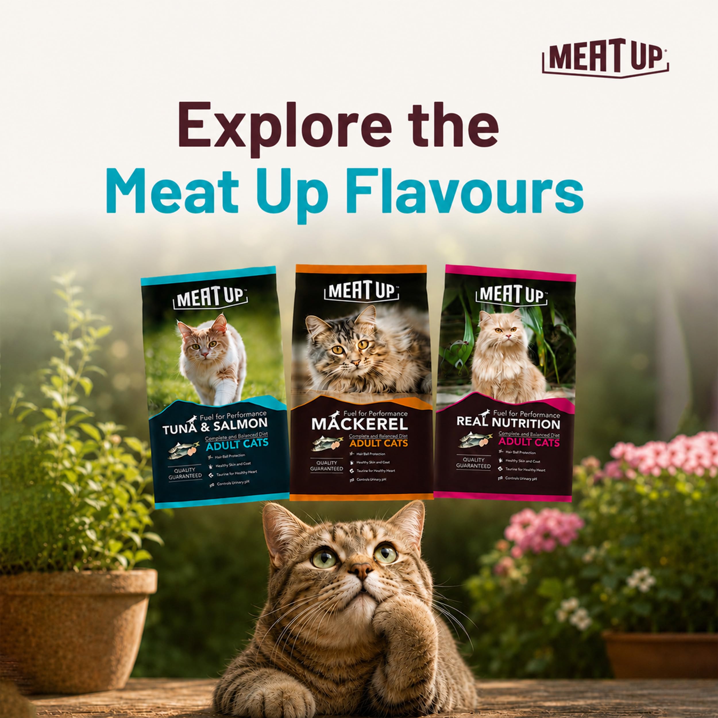 Meat Up Adult Dry Cat Food (2 x 1.2Kg), Total 2.4Kg | Tuna & Salmon Flavour | Supports Urinary pH Balance | Reduces Hairball Formation | Promotes Skin & Coat Health | Taurine for Cardiac Support 4