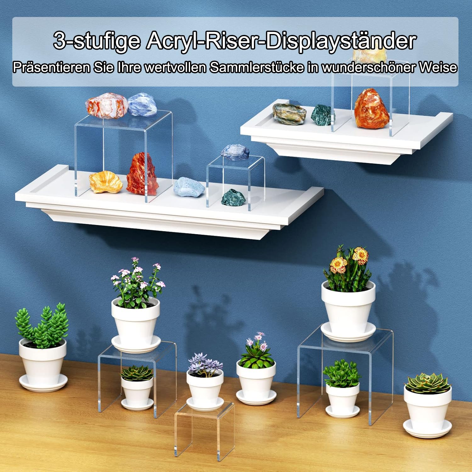Rarapop 6 Stück transparente Acryl-Displayständer - Vielseitige Halter für Cupcakes, Figuren & Sammlerstücke - stabile Produktständer für Schmuck, Parfüm und Dekoration (SetB)