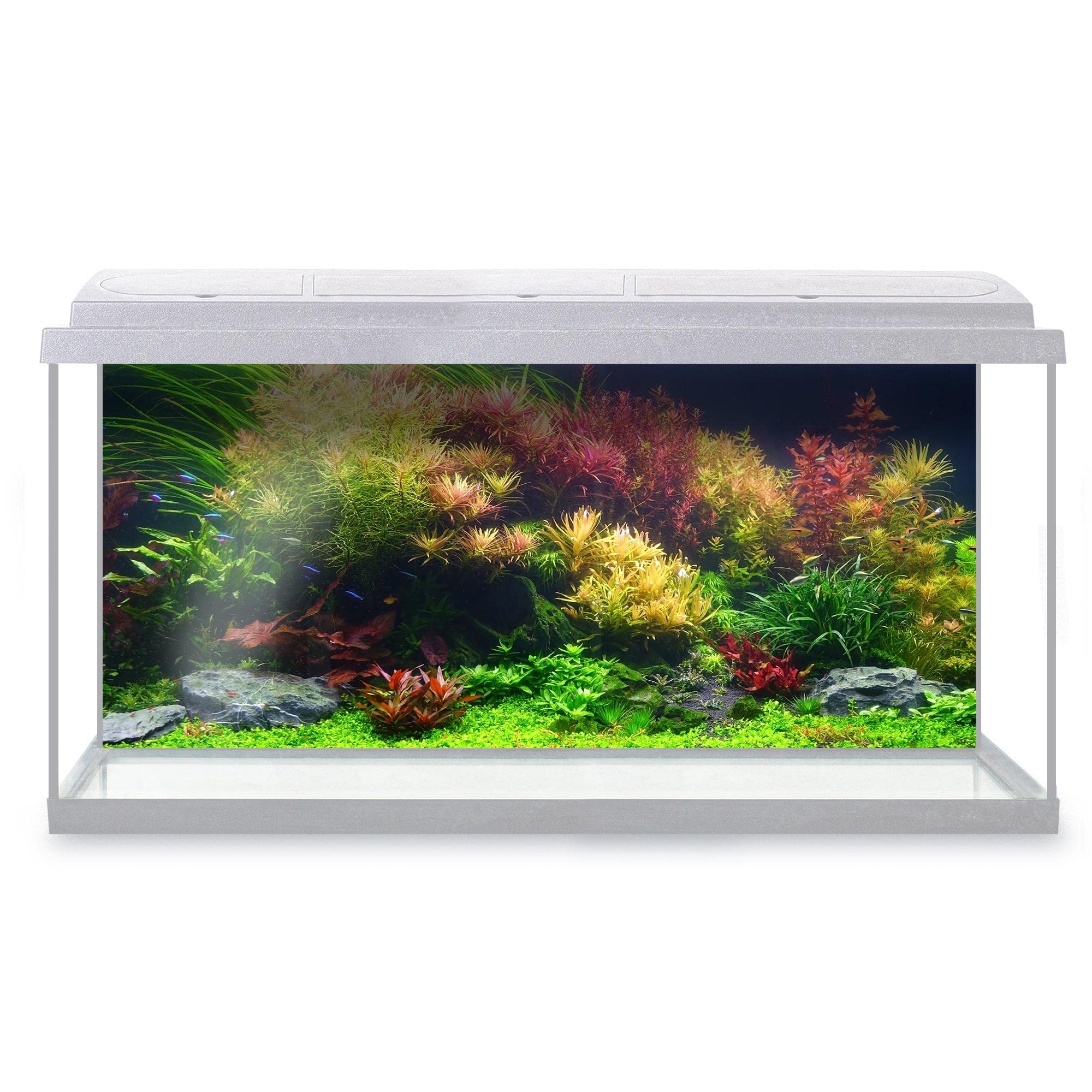 DV DESIGN Aquarium Fish Tank Background 123x54 cm - Colorful Aquatic Plants Tank Marine Landscape Underwater World Static Cling Vinyl Vivarium Terrarium External Application #500032