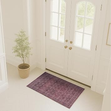 Fame Rugs Turkish Rug. Washable Vintage Oriental Antique Inspired Traditional Doormat Small Modern Area Rugs Luxury Entryway Entry Bedroom Bathroom Kitchen 395RR, 2 x 3