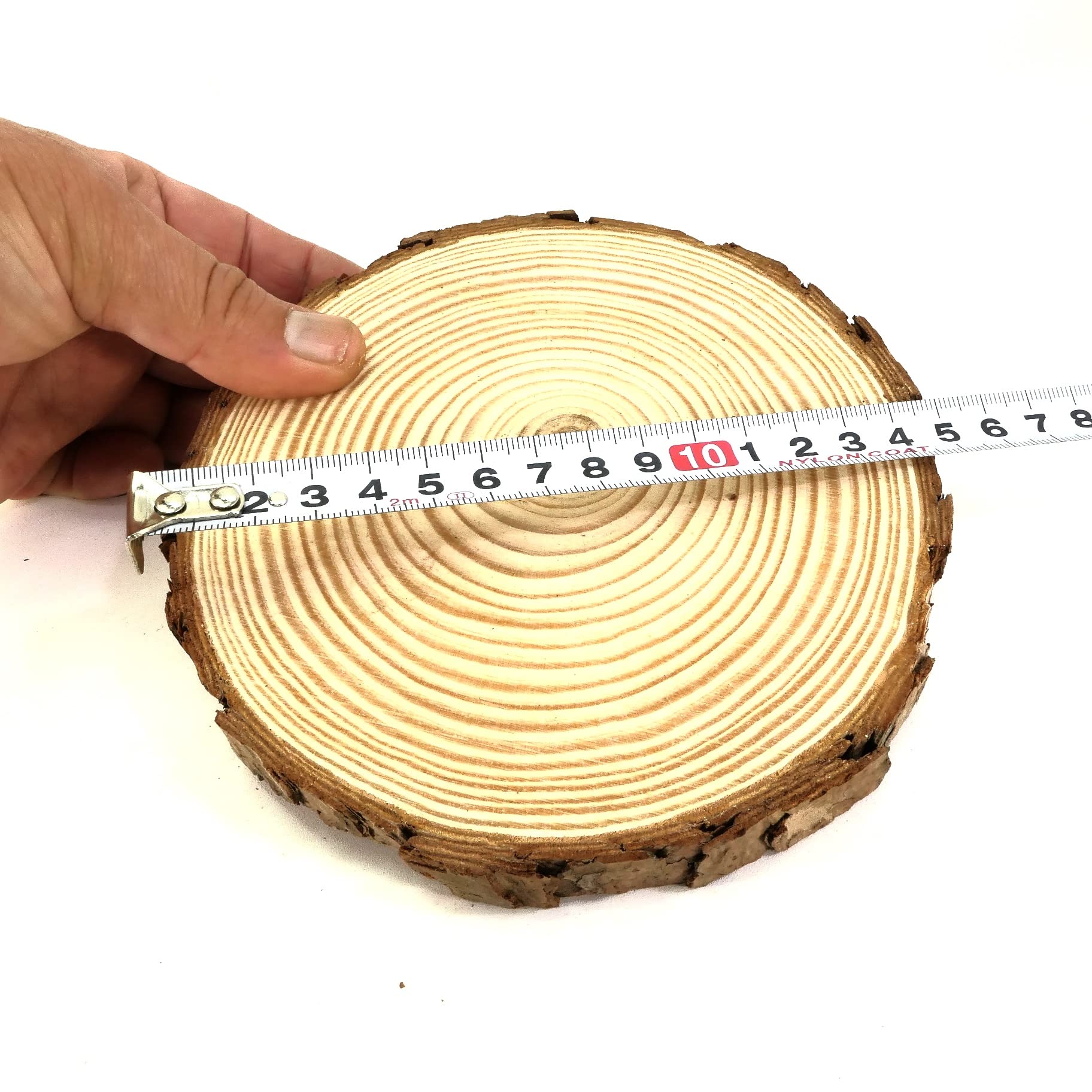 Amazon.co.jp: 天然木の台座 ディスプレイスタンド スギの木 切り株 1