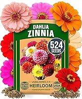 HOMEGROWN Zinnia Dahlia Seeds 524 Pack Non-GMO | Vibrant Double Blooms for Pollinator Gardens, Borders, Containers - Easy Grow