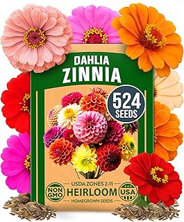 HOME GROWN Paquete de semillas de dalia de Zinnia para 2026 – 524 semillas de flores | Elegans de Zinnia vibrantes para jardines polinizadores, bordes y contenedores | Flores de exterior fáciles de