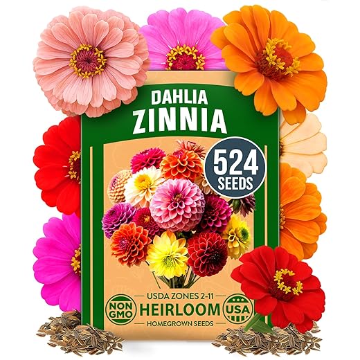 HOME GROWN 𝗨𝗦𝗔 𝗣𝗥𝗘𝗠𝗜𝗨𝗠 Zinnia Dahlia Seeds Pack for 2026 – 524 𝗡𝗢𝗡-𝗚𝗠𝗢 Flower Seeds | Vibrant Zinnia Elegans for Pollinator Gardens, Borders & Containers | Easy-to-Grow Outdoor Blooms