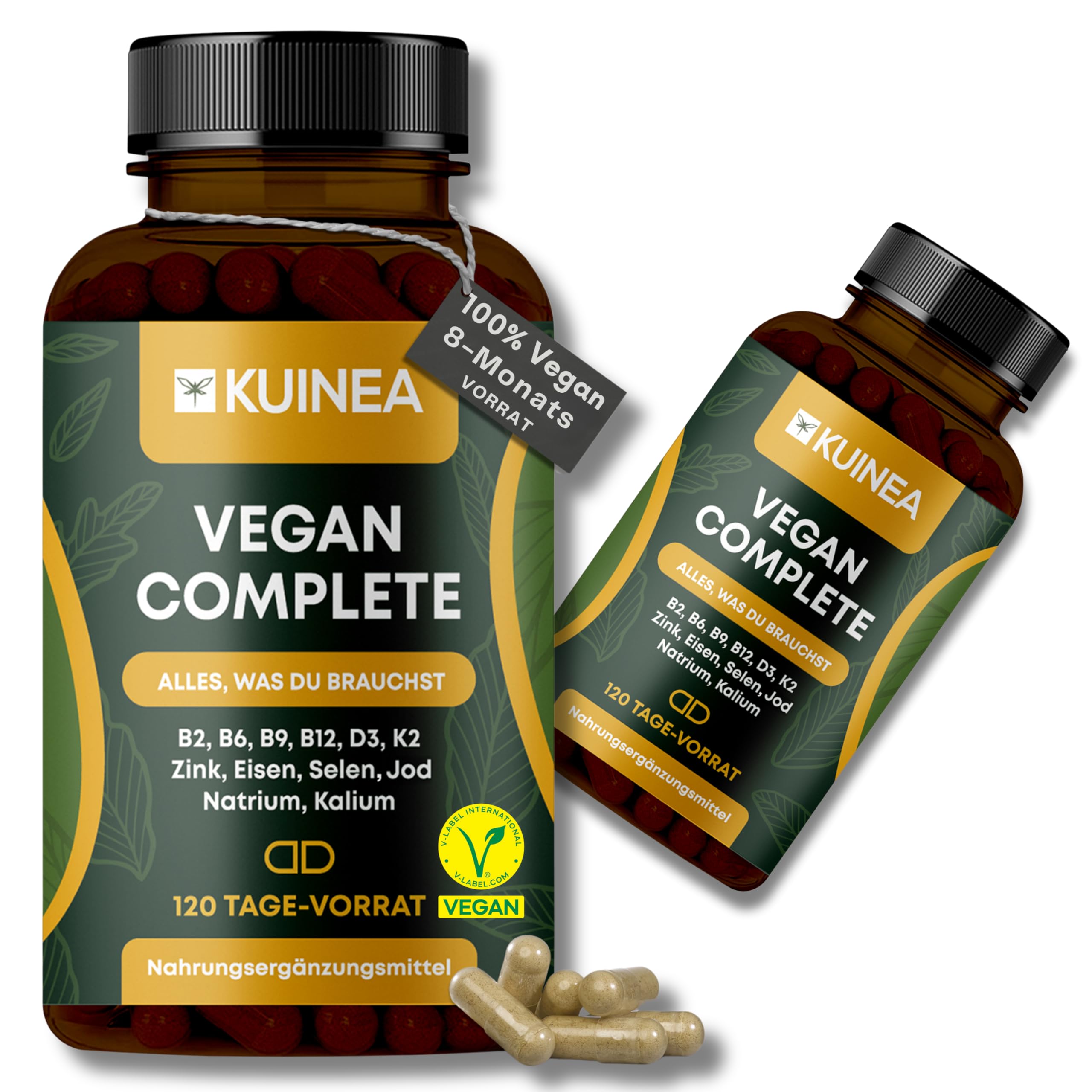 2x 120 Kapseln Vegan Complex - All in one Vitamine I 8-MONATS-VORRAT I Vitamin B12 Vegan+D3+K2+B2+B9+B6 + Zink + Eisen + Selen + Jod + Natrium + Kalium - Supplements