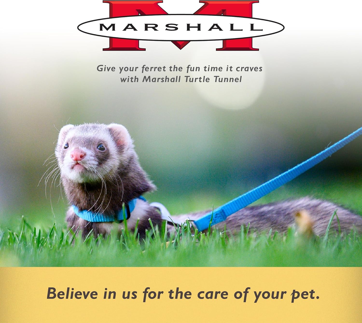 Marshall Pet Turtle Tunnel