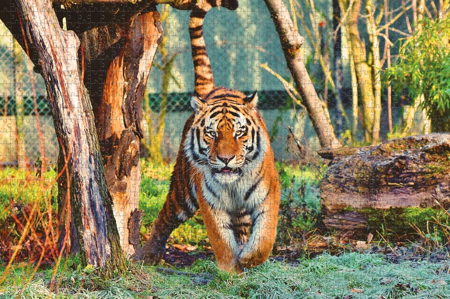 France Mont St Michel Normandy Jigsaw Puzzle for Adults 1000 Piece Wooden Travel Gift Souvenir