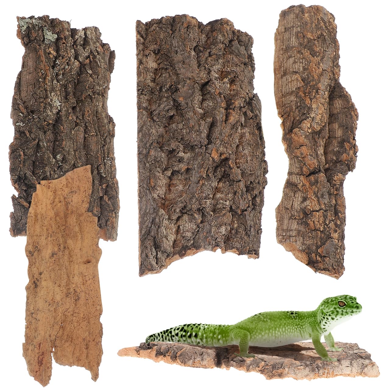 SEWACC Lot de 4 écorces de reptiles en bois naturel pour terrarium