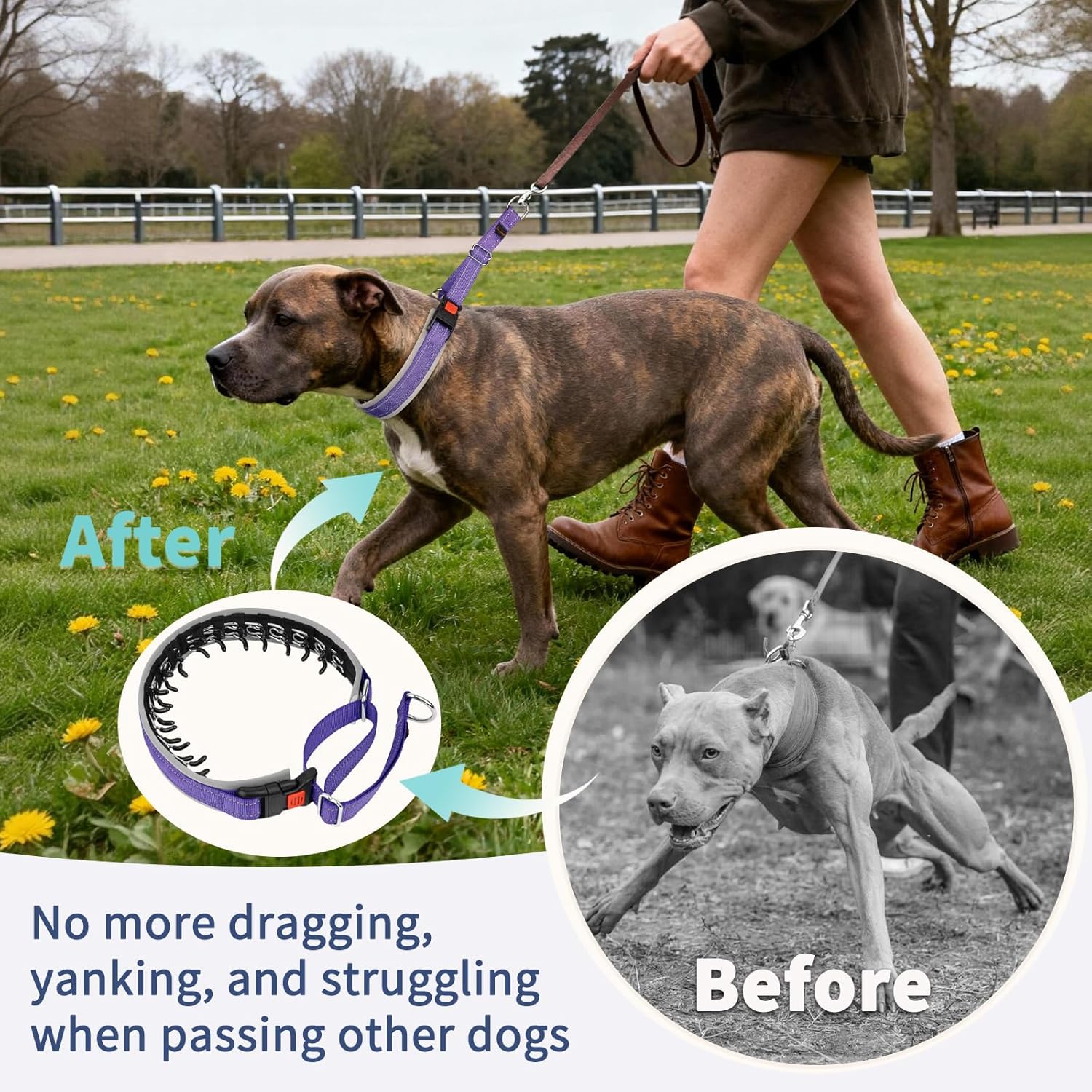 Mayerzon Martingale Dog Collar for Pulling, Patented No Pull Training Walking Collar with Buckle for Medium Large Dogs Bulldog Pitbull German Shepherd, Reflective, Adjustable, Heavy-Duty(M, Purple)