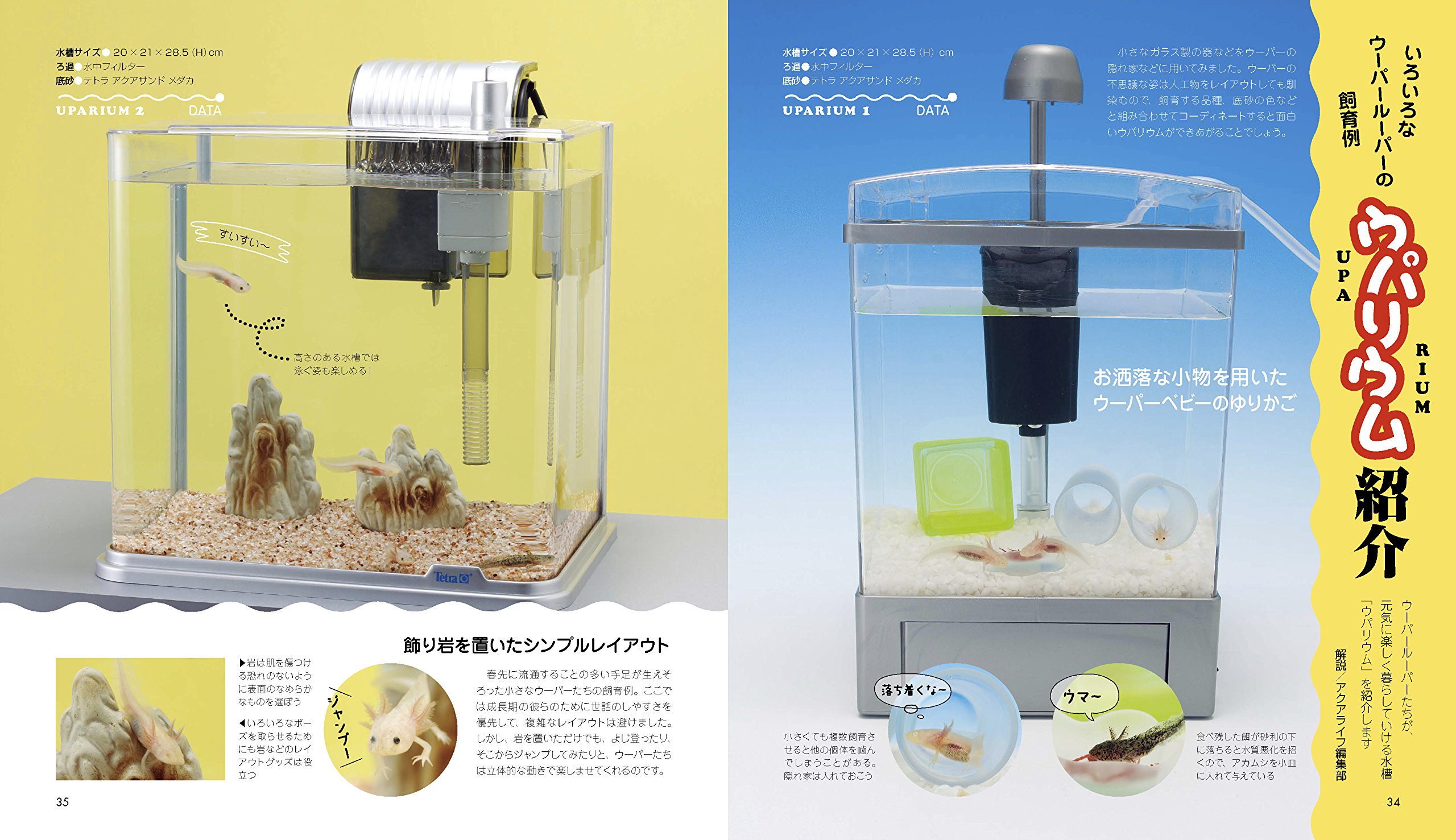 ウーパールーパーと仲良くなれる本 アクアライフの本 藤谷武史 大渕希郷 月刊アクアライフ編集部 本 通販 Amazon