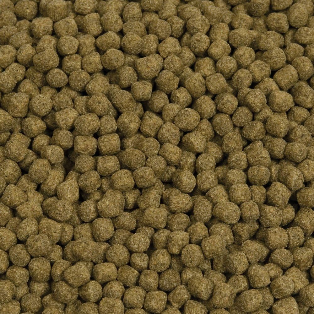 Hikari Economy Staple Koi Food 44 lb Medium Pellet