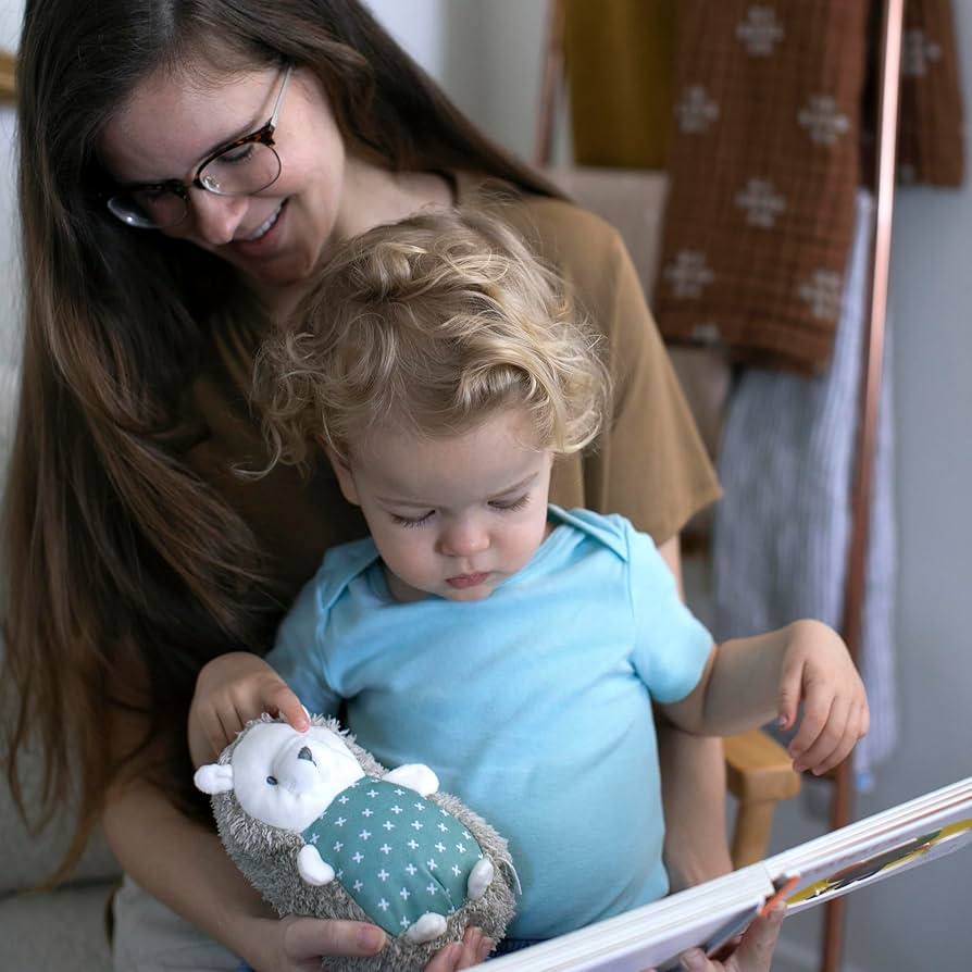 ハリネズミコレクション　50パック 81-LNMNiuRL._AC_UF894,