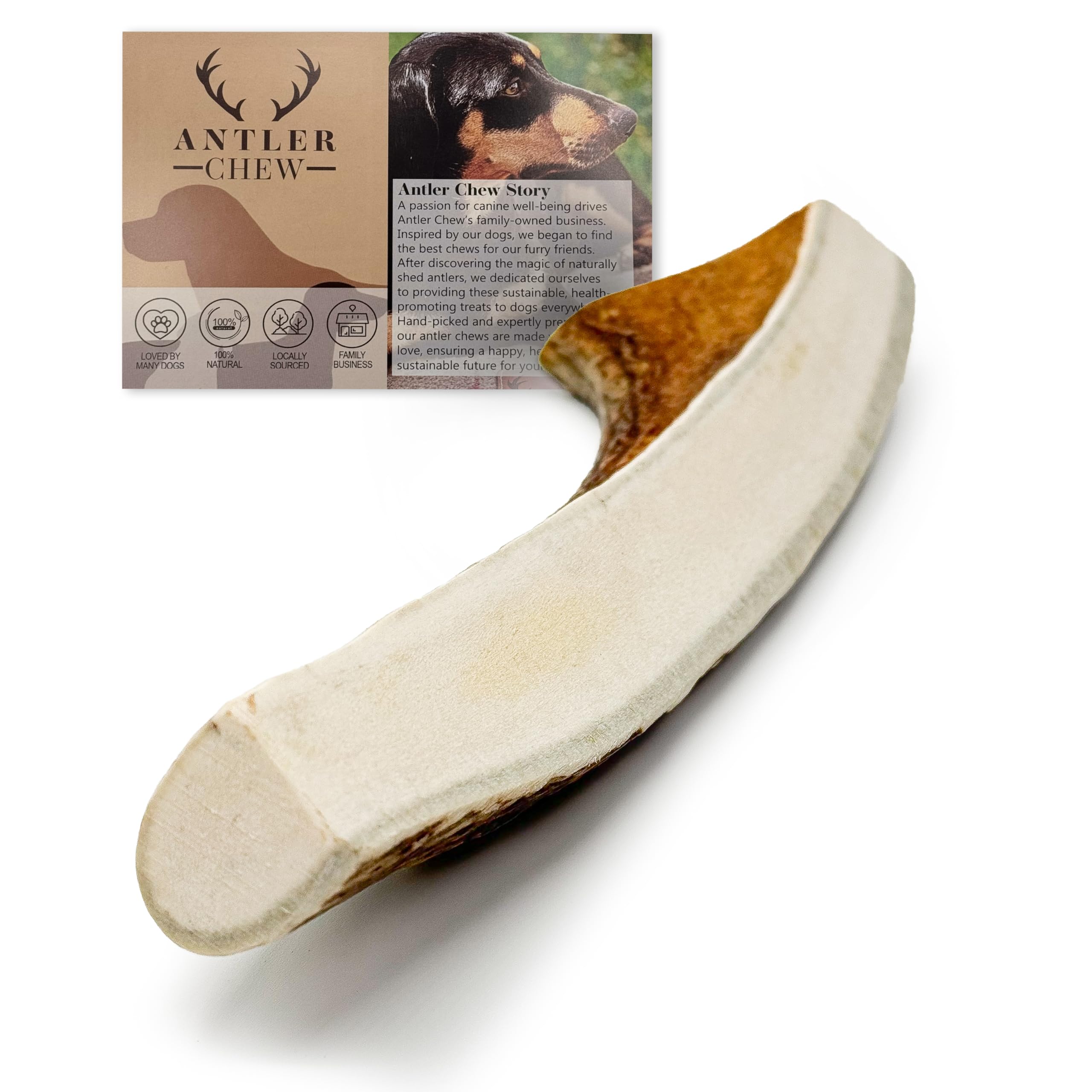 Large Elk/Moose Split Antler for Dogs (120-180g, 12cm) Indestructible, Long-Lasting Dental Treats, Odorless