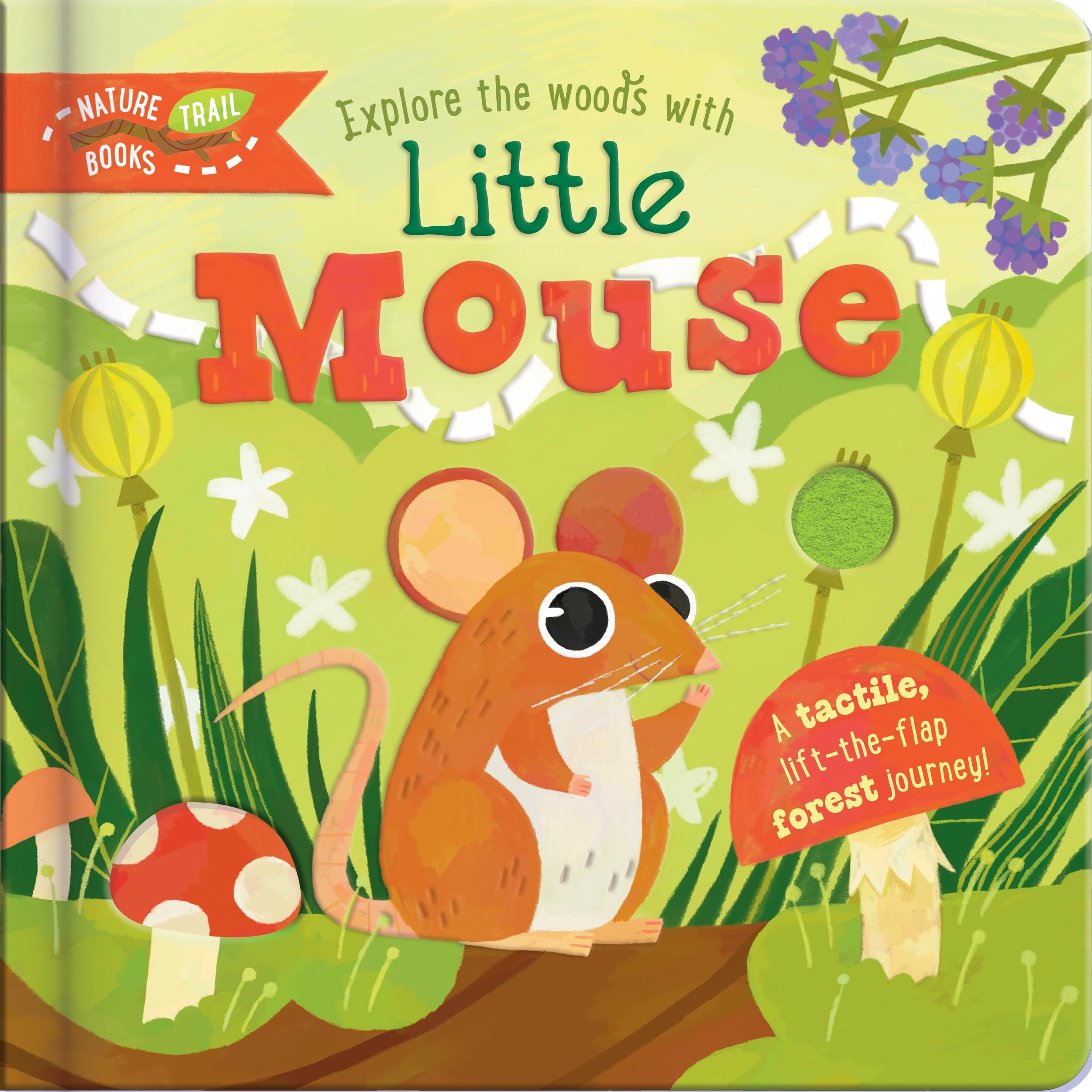 Explore the Woods with Little Mouse | Lift-the-Flap, Touch-and-Feel Forest Adventure Book for Kids Ages 3+: A tactile, lift-the-flap forest journey! (Nature Trail Books)