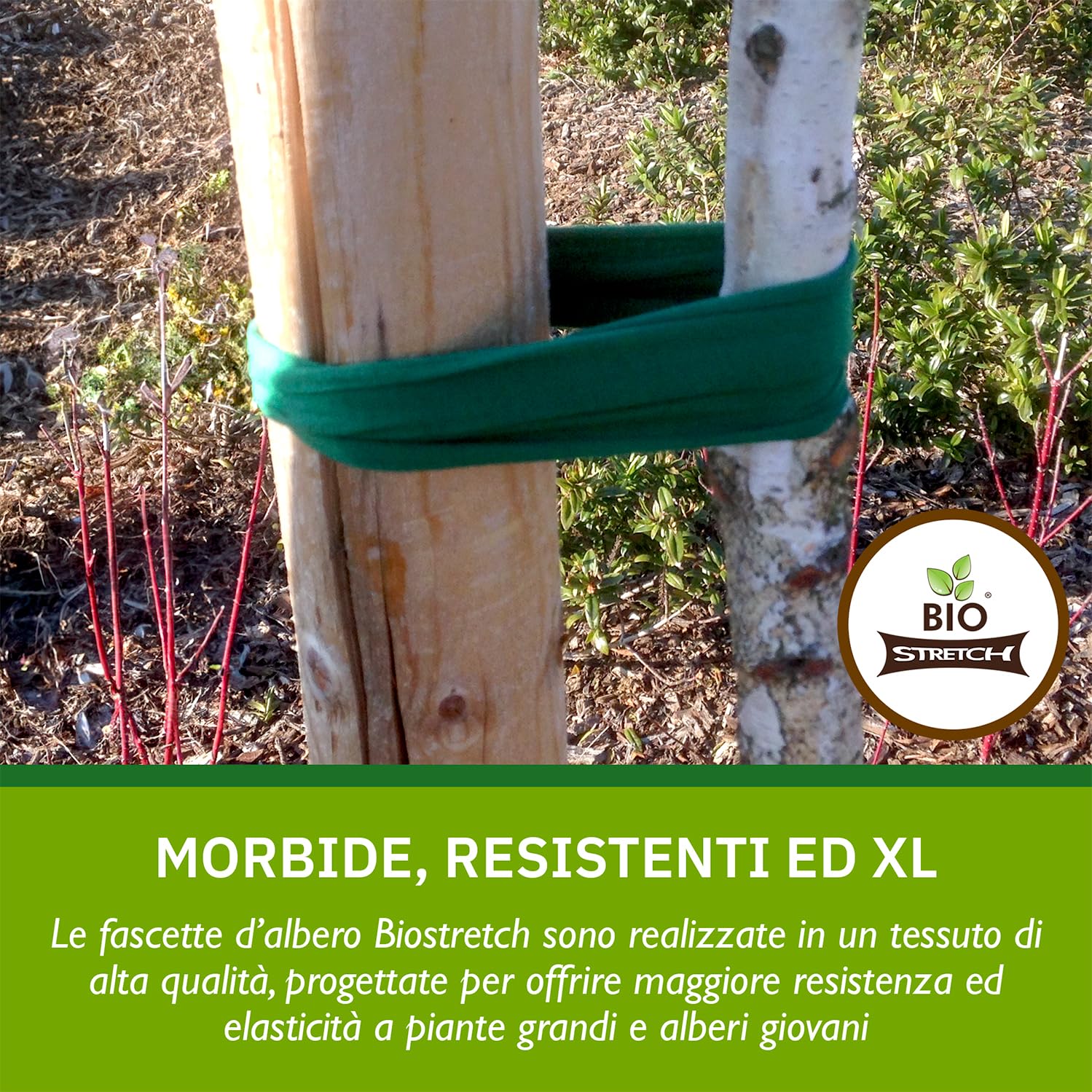 Lorigun Fascette Elicoidali Per Piante 10m X 0,3cm - Verde, Morbide E Riutilizzabili, Per Giardino E Orto (2 Pezzi) - 2