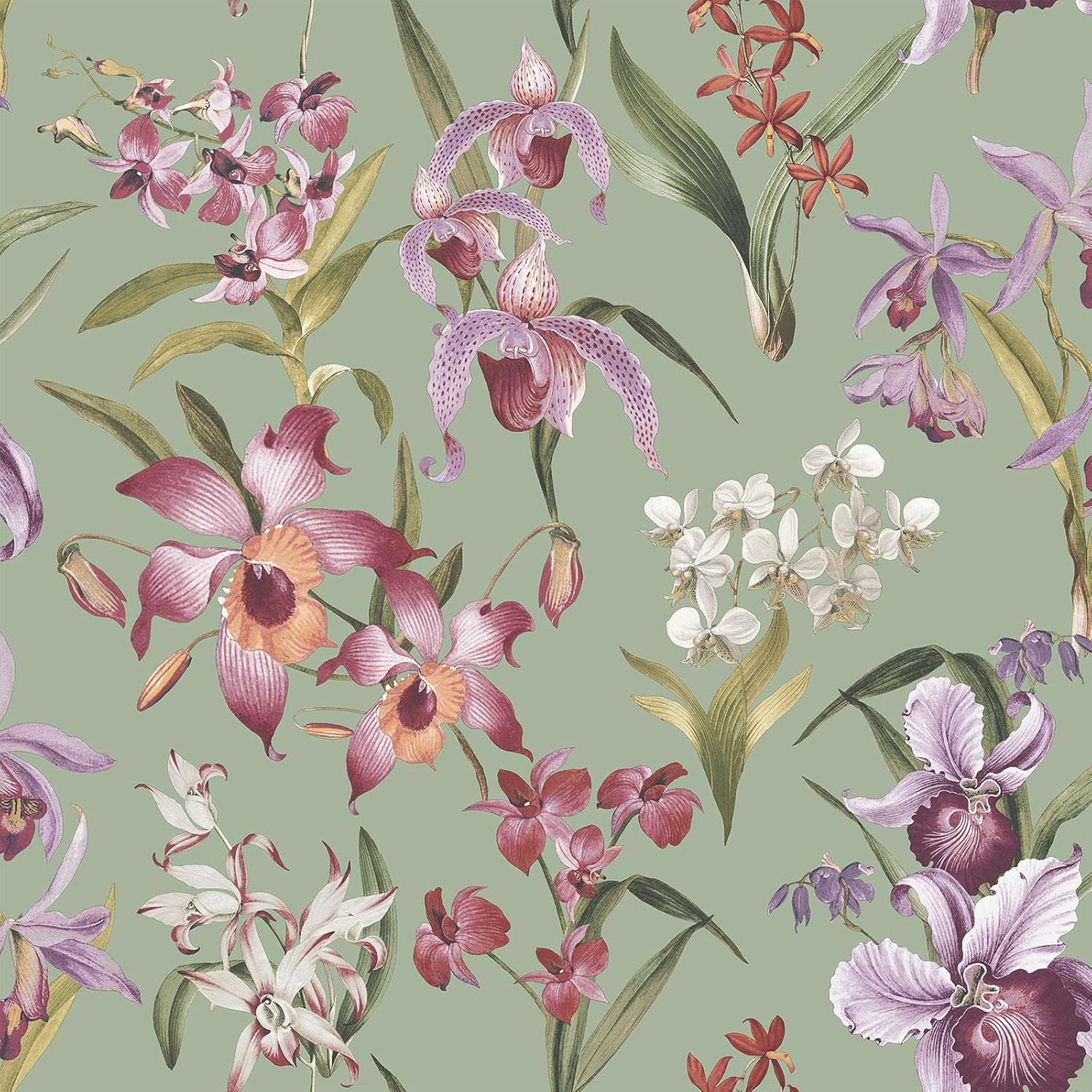 Rasch Maya Floral Tropical Themed Orchids Wallpaper Sage Green 283654