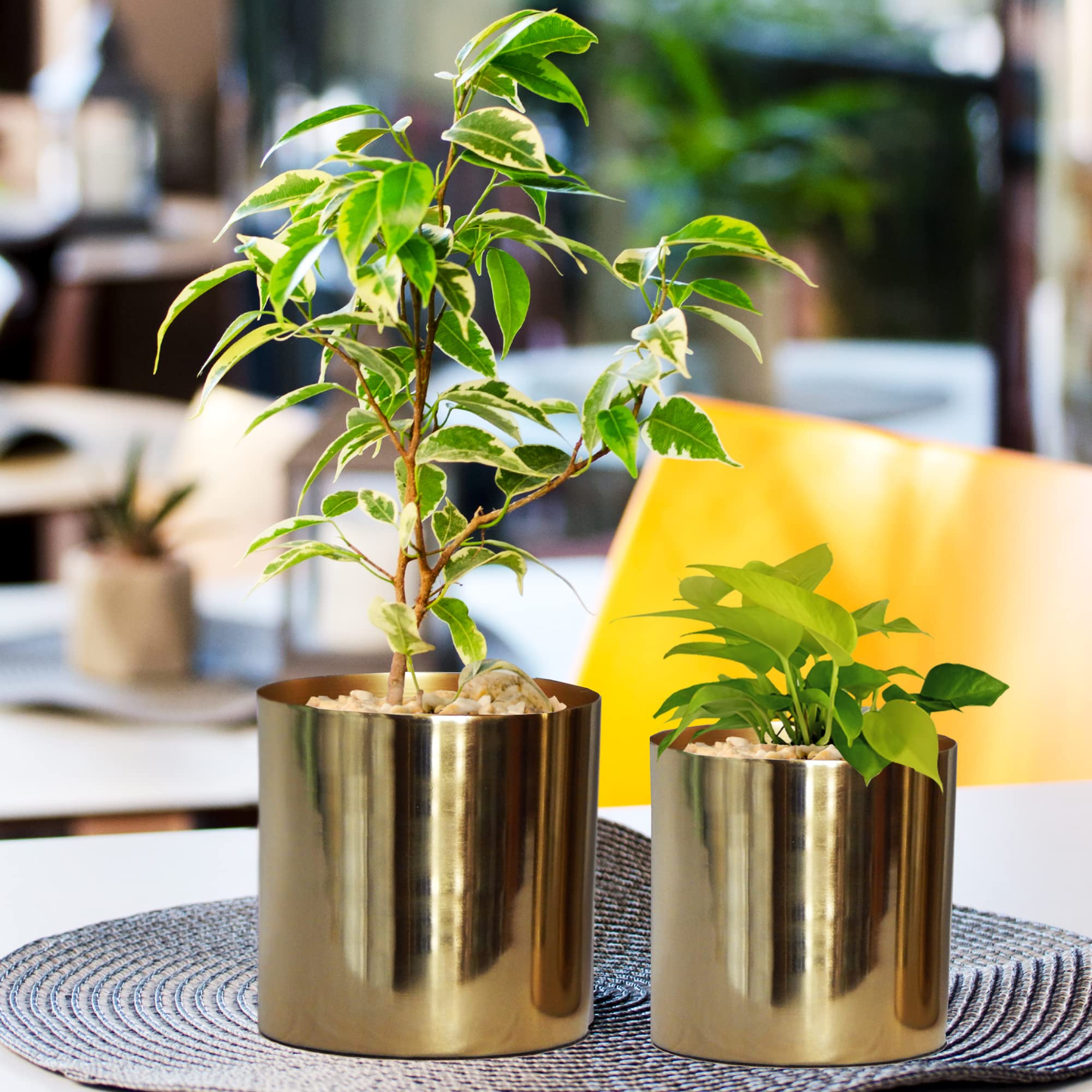 ecofynd Grace Metal Plant Pots (5 inch, 6 inch) | Small Decorative Modern Indoor Planters Flower Pots | Home Garden Decor Planter for Living Room Bedroom Interior (Pack of 2, Gold)