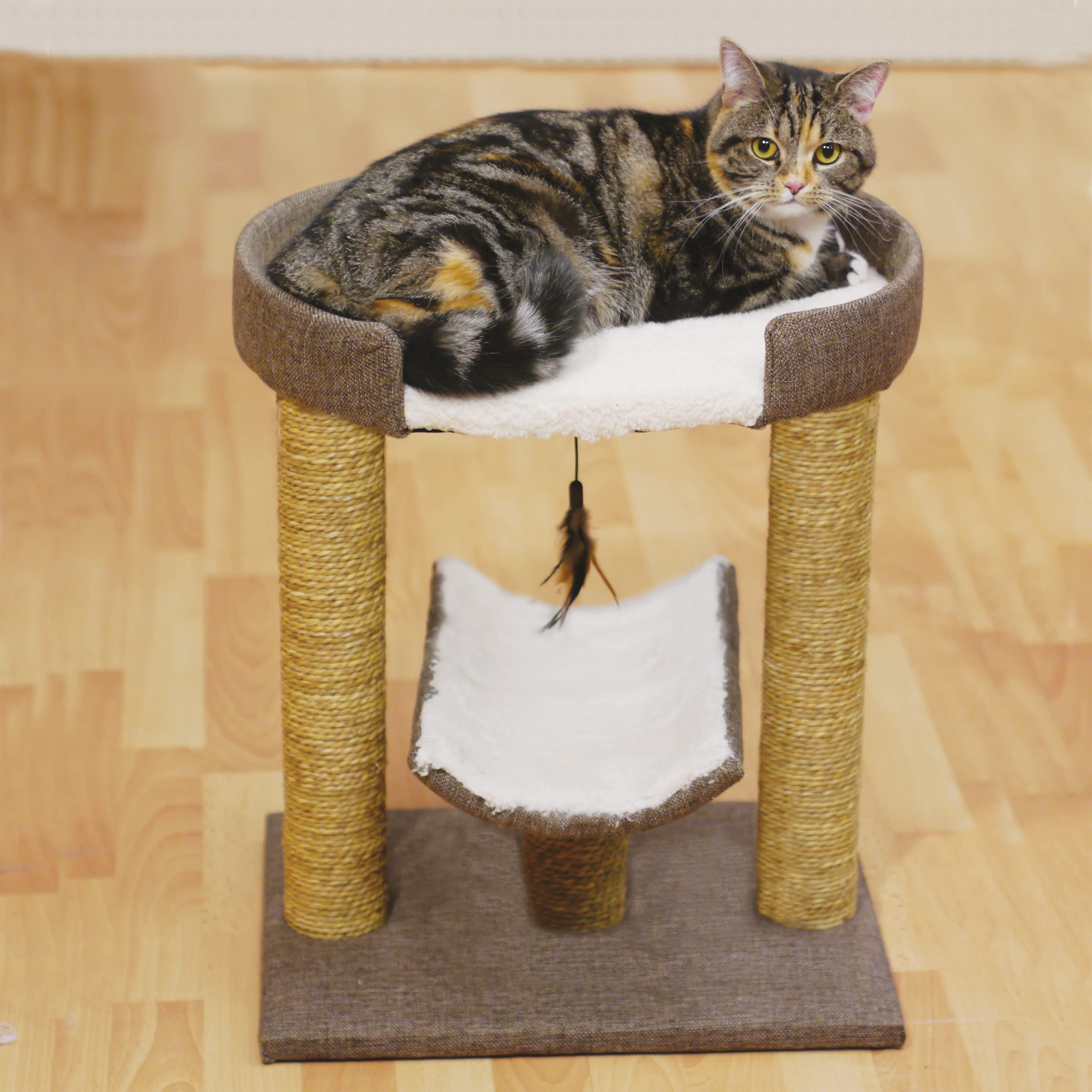 Rosewood Ensemble Grattoir Saffron pour Chat