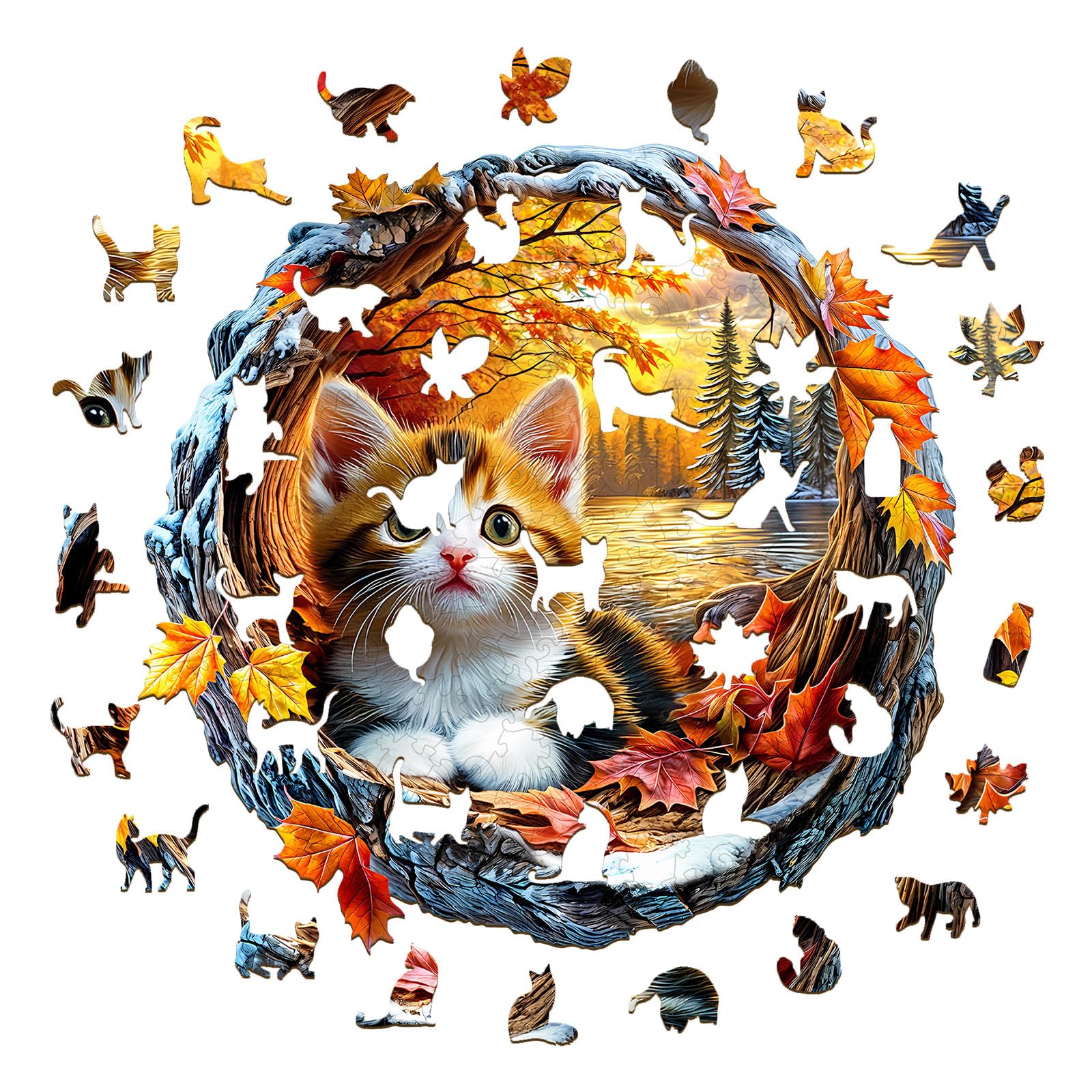 Puzzle in legno per adulti, delfini, forma irregolare e unica, confezione regalo, regalo di compleanno per adulti e bambini (L-34 x 34 cm, 300 pezzi