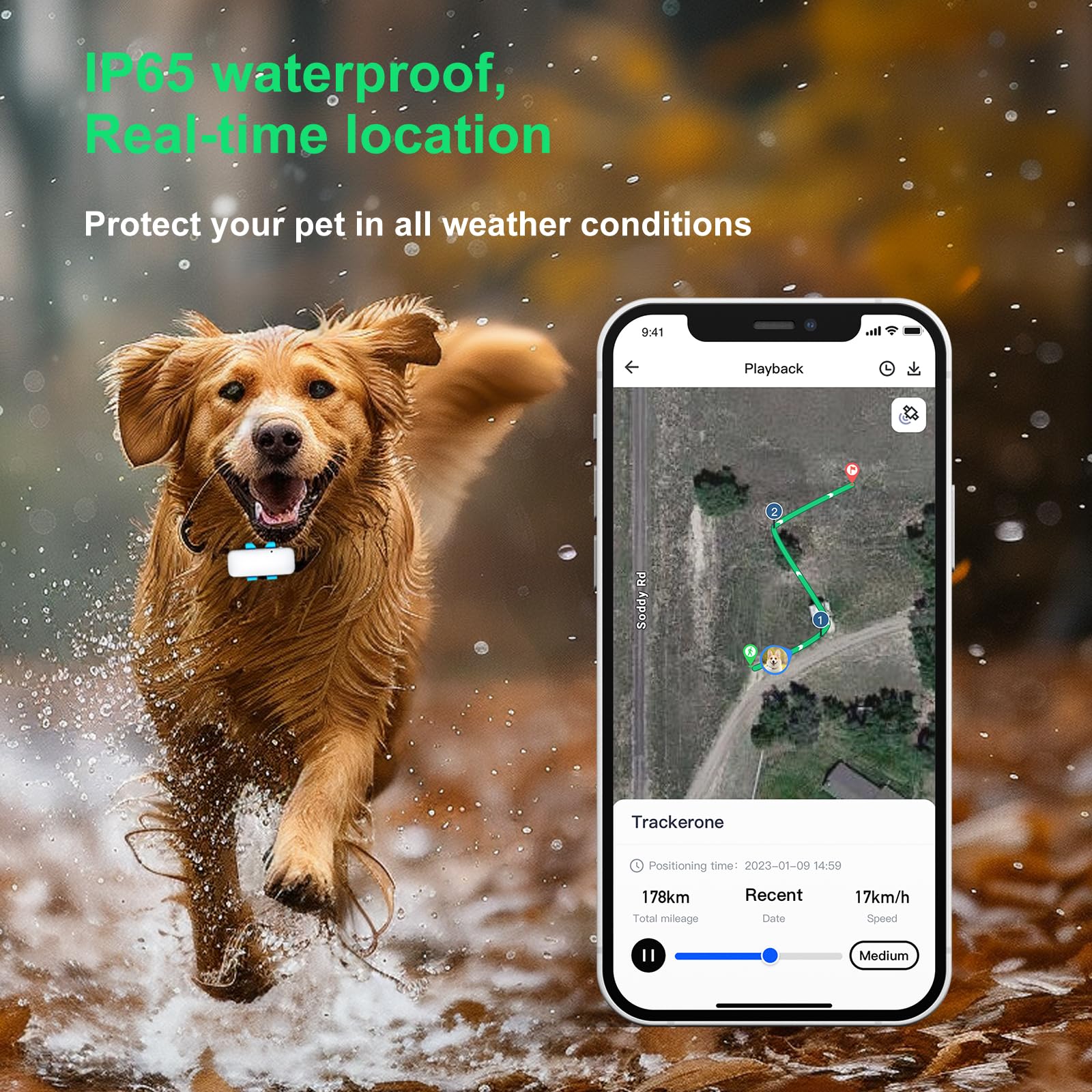 wanwaytech GPS Dog Tracker, Blue and white, Uniform size - Image 4