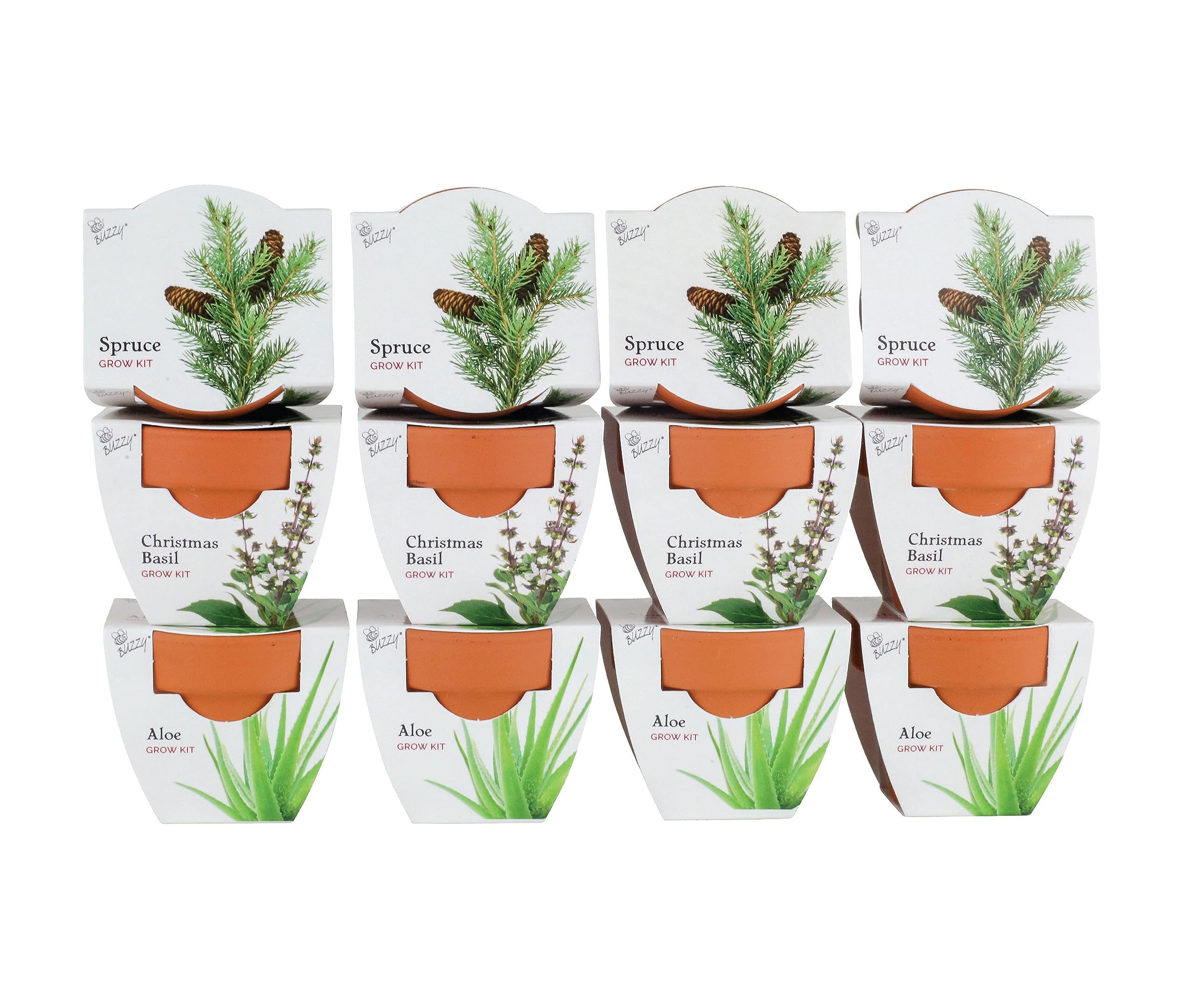 BuzzySeeds Terracotta Mini Grow Pots | Herb, Plant, Flower Starter Kit for Kids & Adults | Assorted 12-Pack, Radiant Collection | Guaranteed to Grow | Best Indoor Grow Your Own Plant Gardening Gift