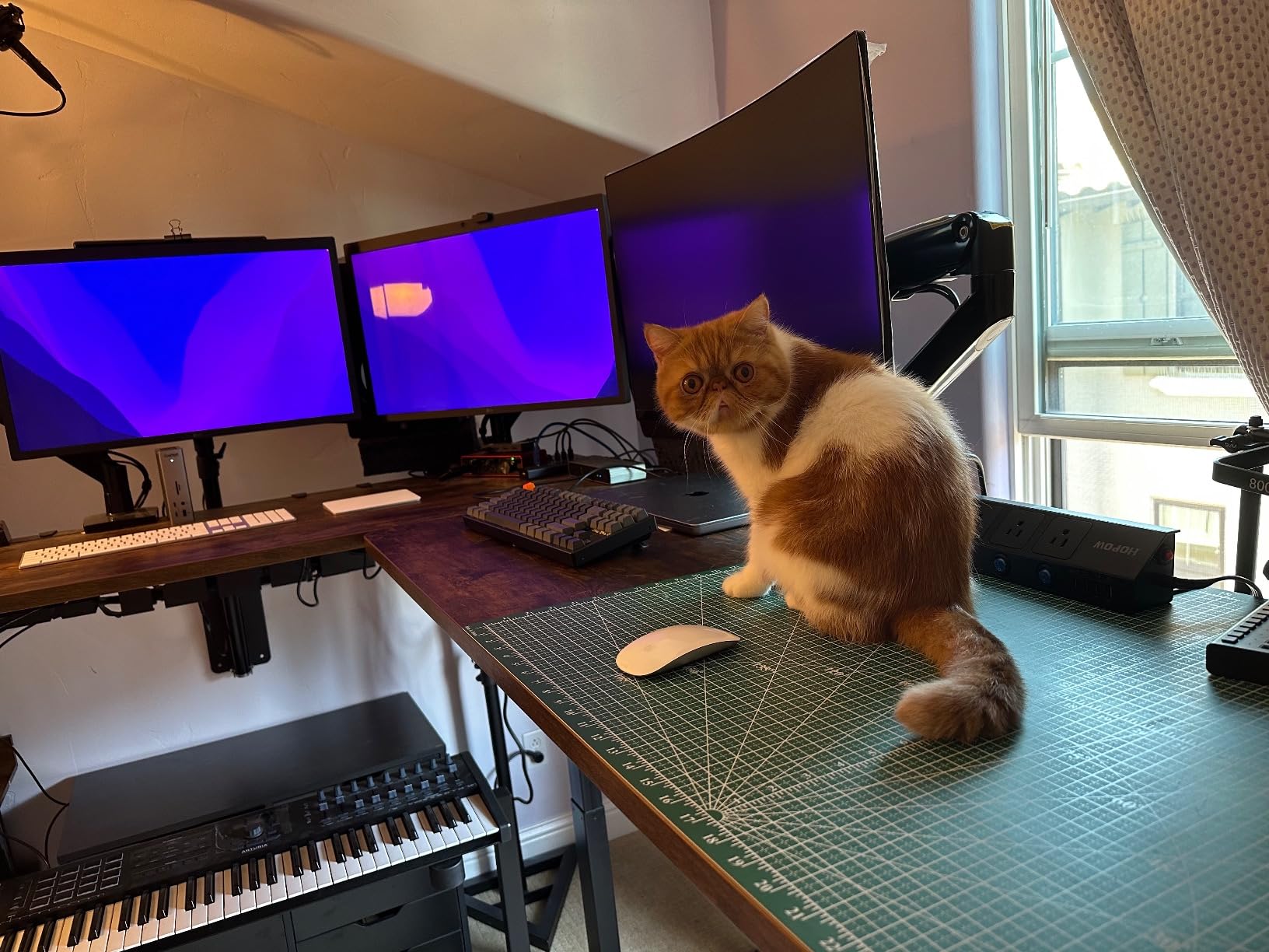 67/mo Finance VIVO Electric Height Adjustable 83 x 60 inch Corner