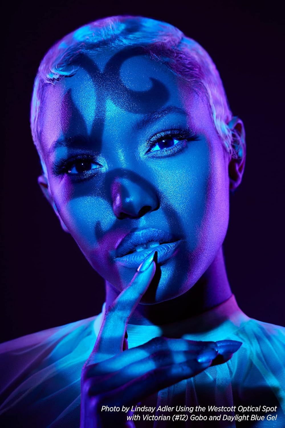 Westcott GOBO Pack: Pattern Designs (10-Pack) for use with Optical Spot by Lindsay Adler