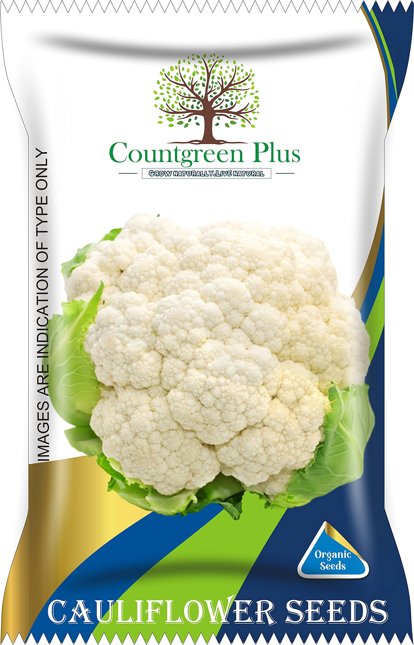 Countgreen Plus Organic Cauliflower (Phoolgobhi Beej) Seeds | Perfect for Home Gardening, Featuring Organic & Hybrid Varieties for Bountiful Harvests (Pack of 100) (B0921TQ9YB) Amazon Price History, Amazon Price Tracker